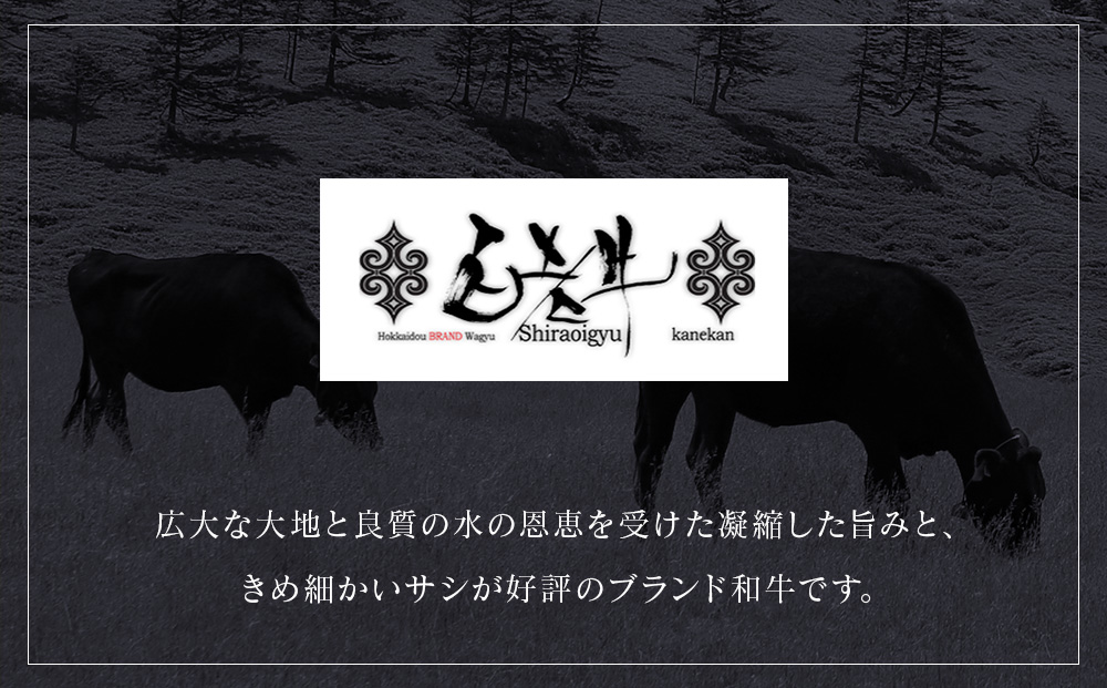 北海道産 白老牛 ブルーチーズ ハンバーグ 10個セット 冷凍 牛肉 肉 白老 BY127_イメージ4