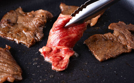 【全6回定期便】【訳あり】赤牛 焼肉用カット（バラ・ロース） 約500g / 不揃い 焼肉 和牛 冷凍[AYBV003]