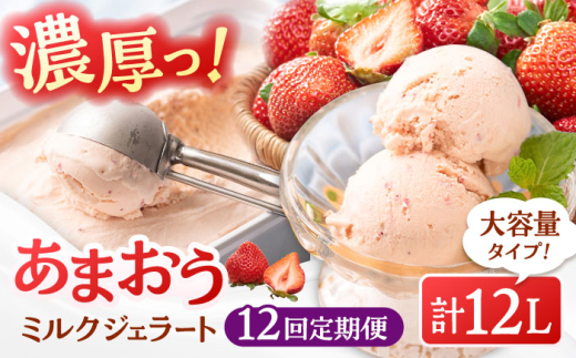【全12回定期便】福岡産 あまおう ジェラート 1000ml ▼ イチゴ 苺 福岡 あまおう 果物 フルーツ アイス 定期便 桂川町/南国フルーツ株式会社[ADBW050]