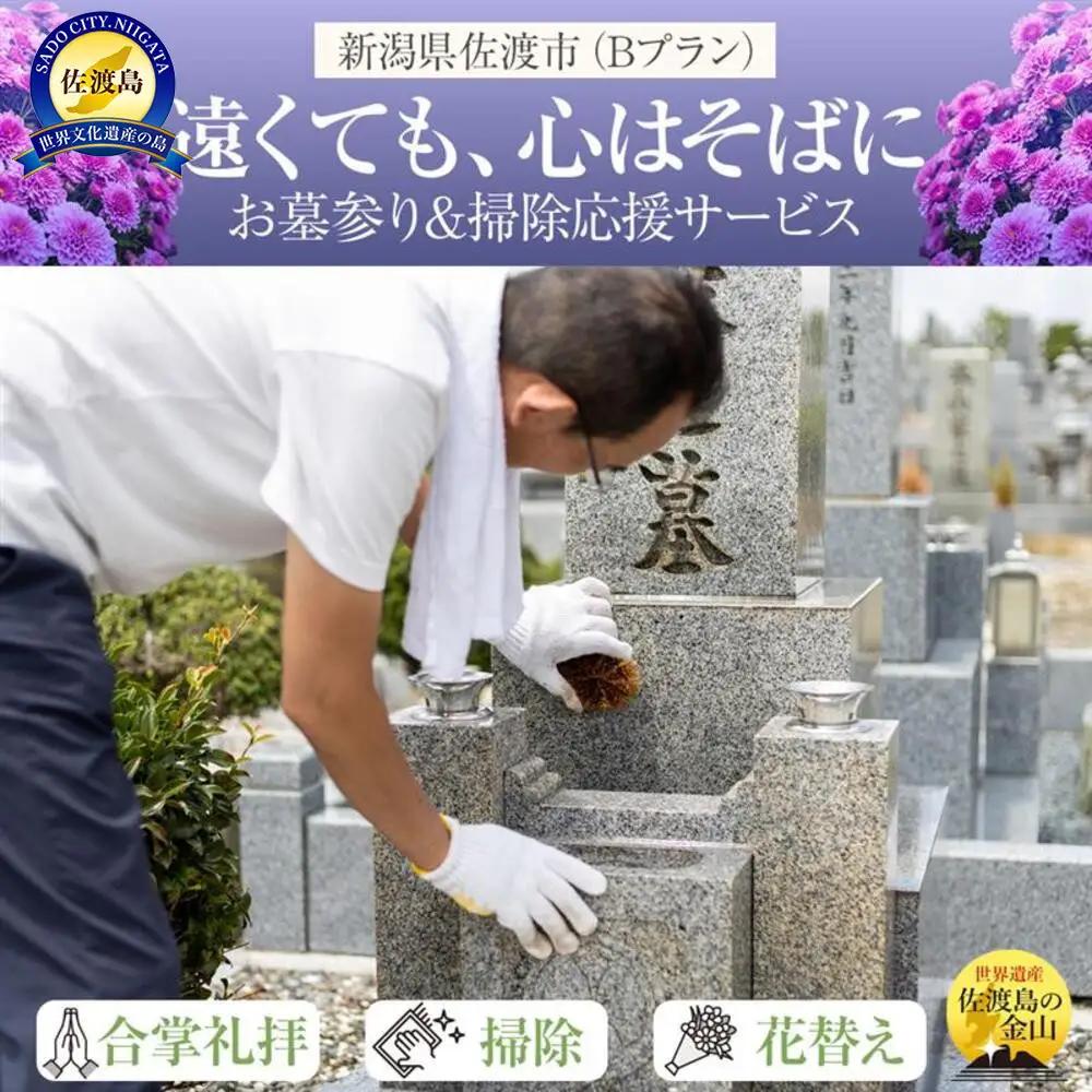 【新潟県佐渡】佐渡島内 お墓参りプランA 応援サービス 合掌拝礼・花替え・簡易清掃 「遠くても、心はそばに」