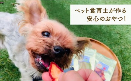 【6袋×3回定期便】犬の無添加おやつ☆お砂糖不使用 旬のドライフルーツ定期便 吉野ヶ里町/わんこin食堂 ドッグフード/犬用品/ペット用品 [FCG008]