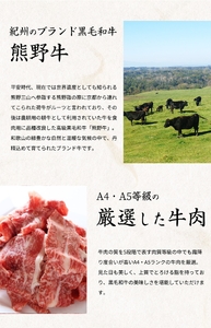 【定期便 全3回】紀州和歌山うまいもんセットB（生まぐろ・うなぎ蒲焼・熊野牛）【UT126】