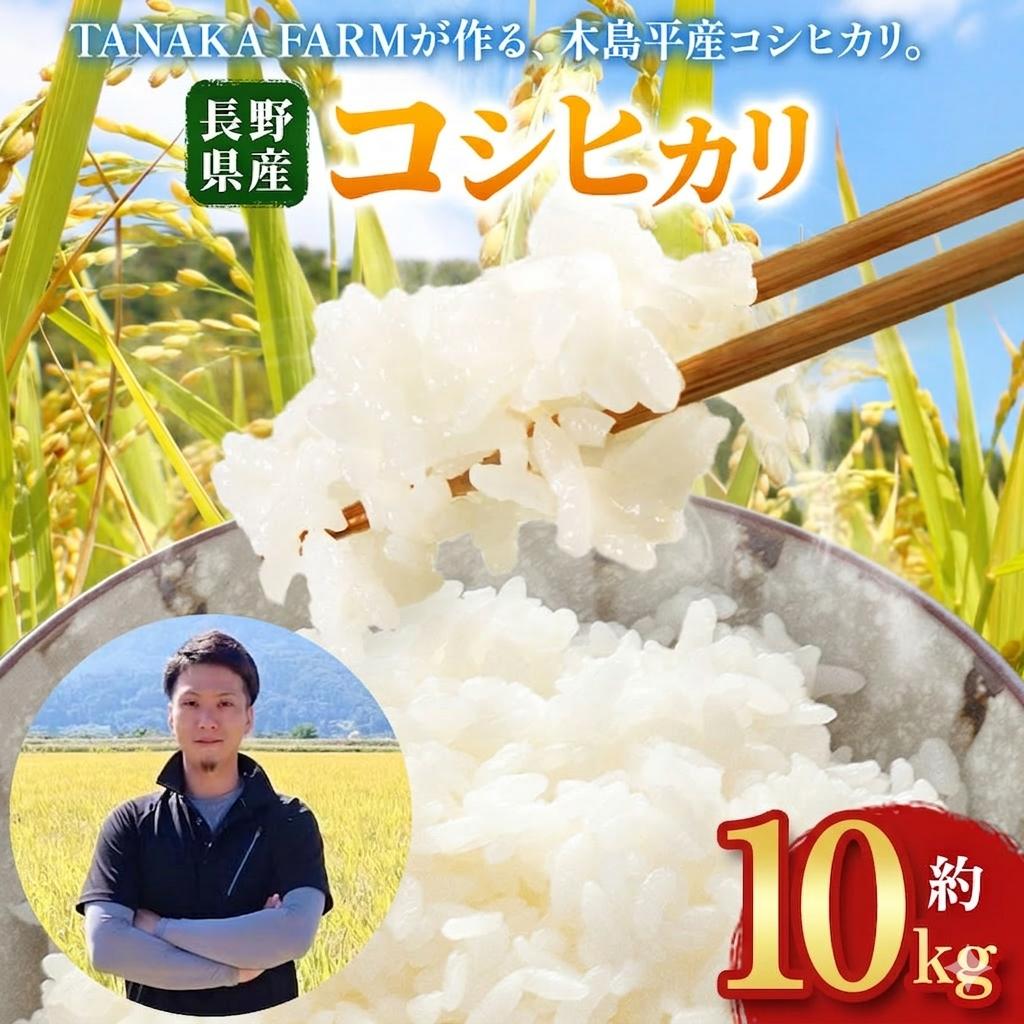 木島平産 こしひかり 約10kg | 米 こしひかり コシヒカリ 定番 品種  寒暖差 木島平村 長野県 信州 コシヒカリ
