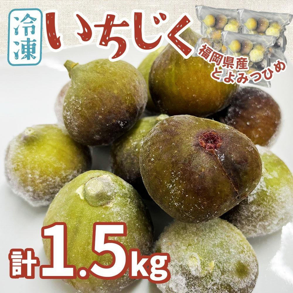 
福岡県産「博多とよみつひめ」冷凍いちじく！合計1.5kg
