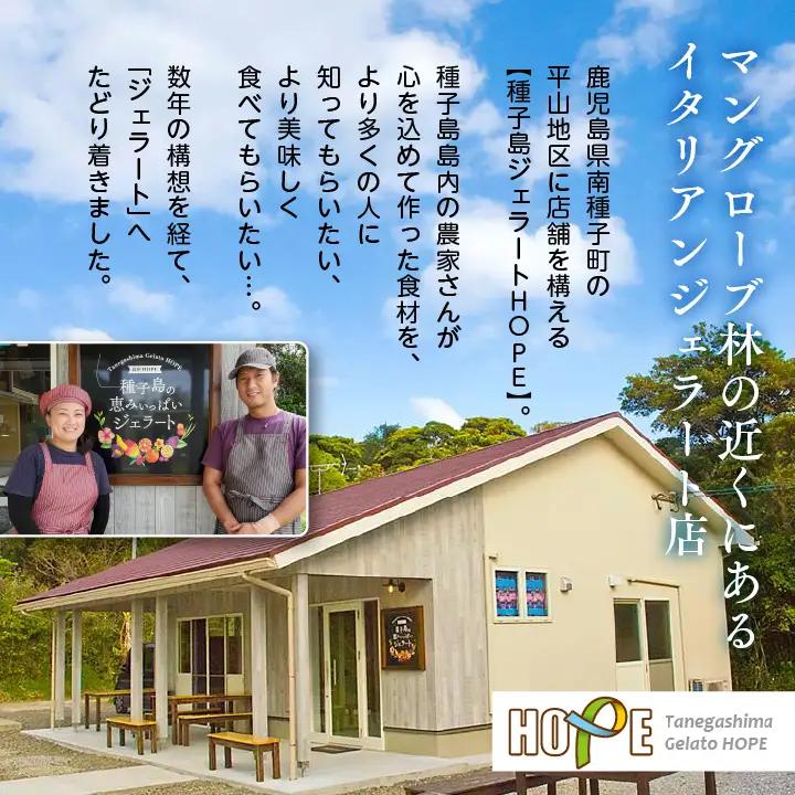 ジェラート定期便12回