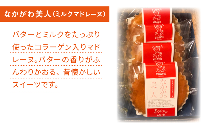 【全3回定期便】VISAVIS 菓子 2種セット 計9点 ＜株式会社シークス＞那珂川市 [GAU007]