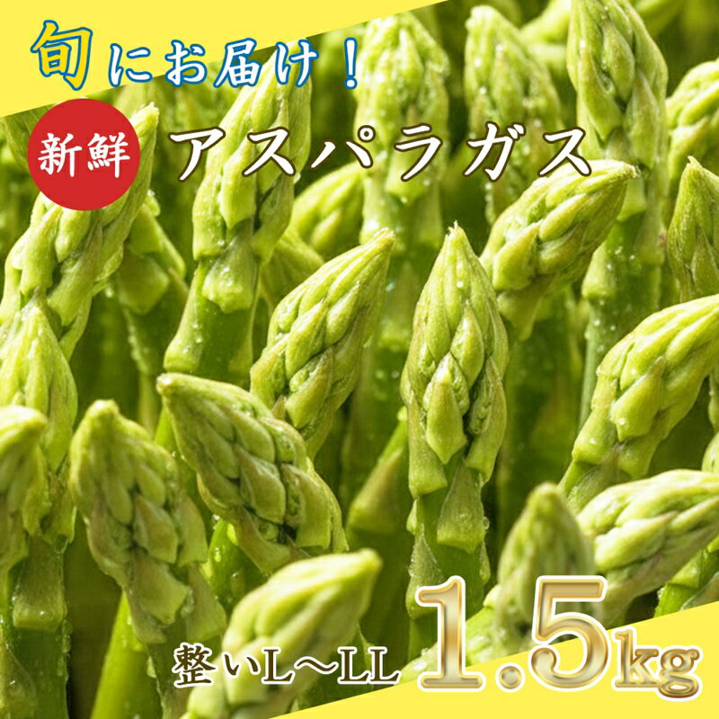 【ふるさと納税】【先行予約】旬におとどけ！新鮮 アスパラガス 1.5kg L～2L 太め 贈答用 冷蔵便 産地直送 収穫即出荷 長野県 長和町　お届け：2026年4月1日～2026年4月18日