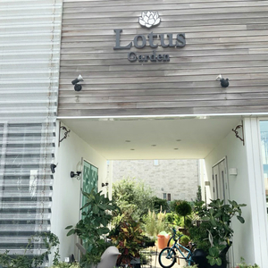 SL0255　自然の香りのクリスマスリース「NOEL」 2025