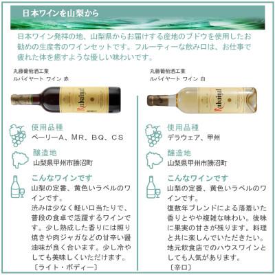 ふるさと納税 山梨県 山梨ワイン リラックス 飲み比べ 6本セット |  | 03