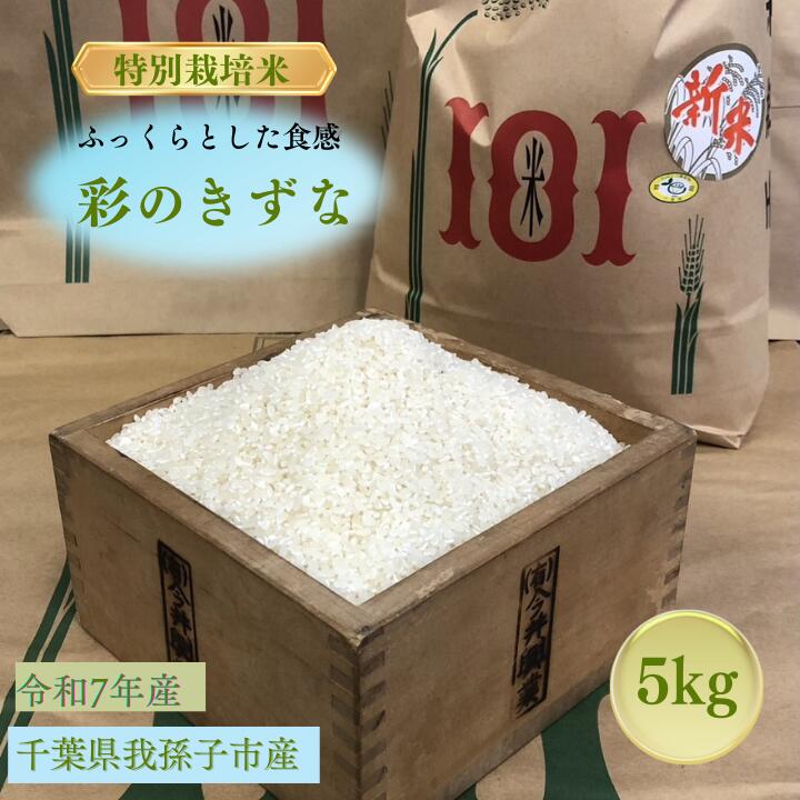 【ふるさと納税】千葉県　我孫子市産　精米　彩のきずな　5kg