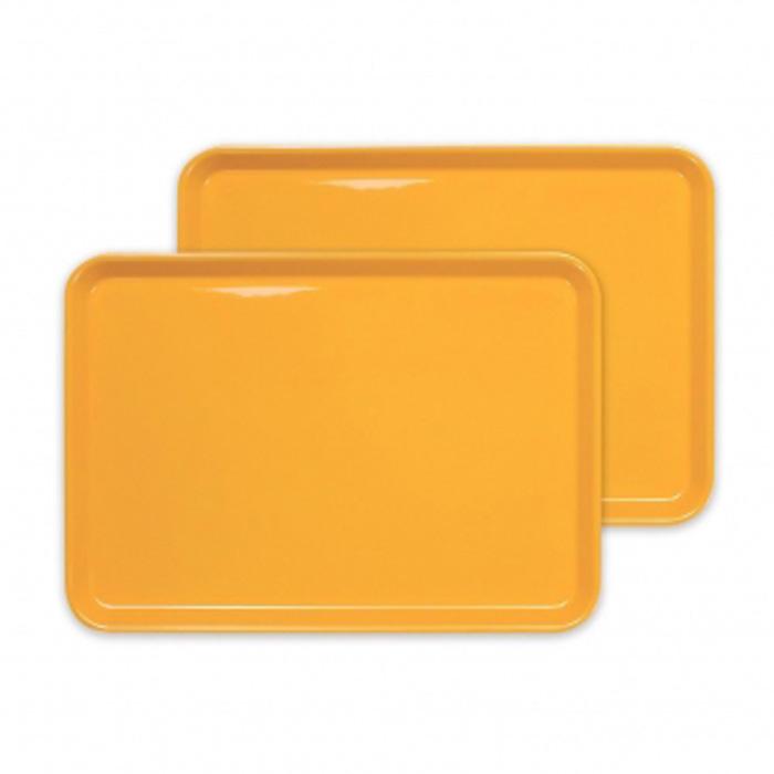 【ふるさと納税】カラフルピノトレー M 33cmイエロー 2枚組 タツクラフト 【Tk44】