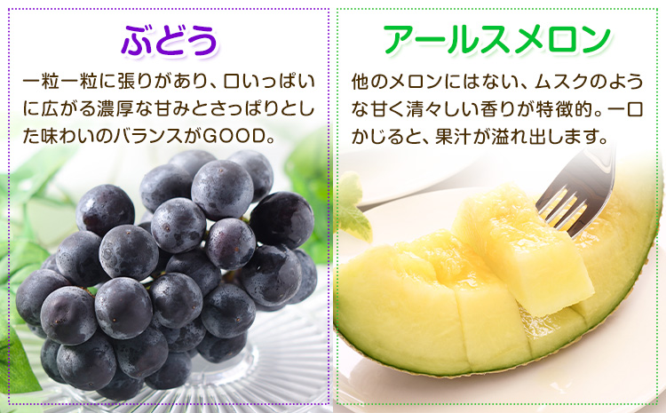 【定期便5回】 厳選 フルーツ 便 ( メロン ぶどう 梨 柿 いちご ) 葡萄 ブドウ ナシ なし かき 太秋柿 イチゴ 苺 果物 くだもの セット 詰め合わせ 定期便《お申込み月の翌月から出荷開始