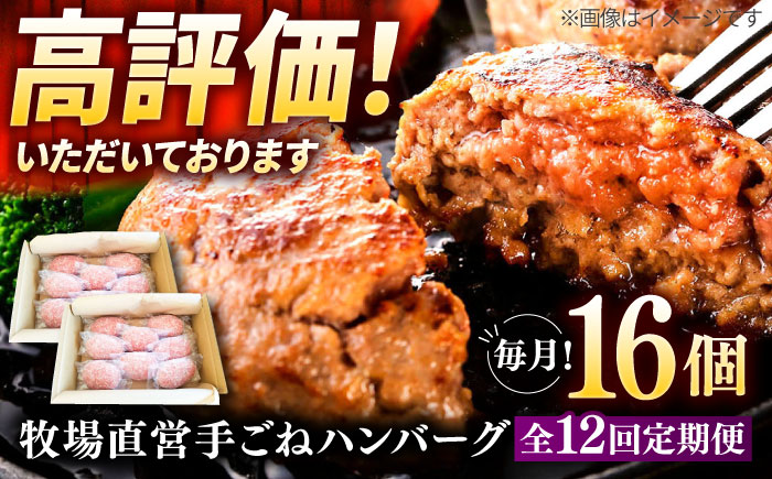 【12回定期便】牧場直営店の手作りハンバーグ（140g×16個）【川﨑畜産】 [IAX062]