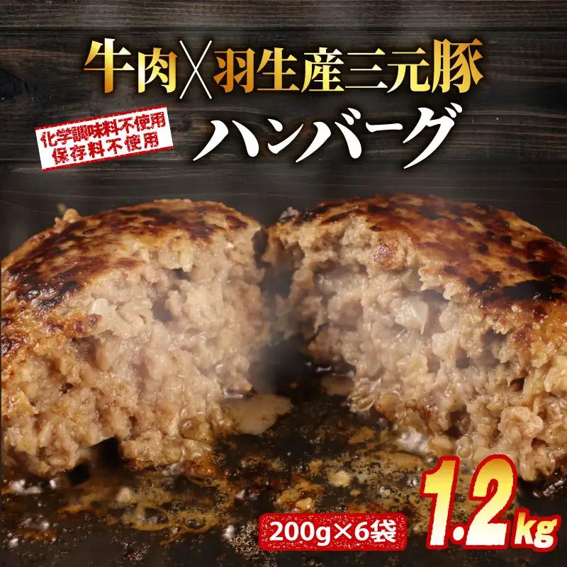 ハンバーグ 200g×6個 ハンバーグ 1.2kg