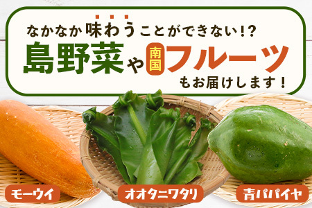 沖縄県 石垣島の野菜・フルーツBOX 1箱 ≪野菜4～5種類、フルーツ1~2種類≫ じょーとーまーさん(とても美味しい) 石垣島の野菜とフルーツの詰め合わせセットをお楽しみください！！｜沖縄 石垣島 