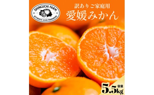 今シーズン発送開始!＜訳あり＞愛媛みかん 5.5kg 愛媛県産＜A70-149＞【1700901】 YWTK148
