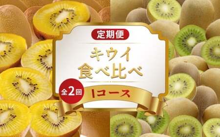 旬のフルーツ定期便 2回 Iコース フルーツ 定期便