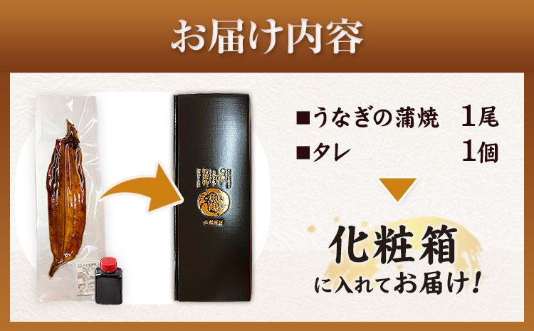 大型サイズ ふっくら柔らか 国産 うなぎ 蒲焼き 約2人前(1尾)  化粧箱入 株式会社魚鶴商店《30日以内に出荷予定(土日祝除く)》 和歌山県 日高町 うなぎ 鰻 蒲焼き 国産使用 ごはんのお供 お