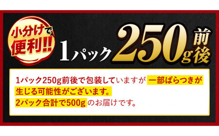 くまもと黒毛和牛 ヒレステーキ 500g 250g × 2枚 牛肉 冷凍 《1月中旬-4月末頃より出荷予定》 くまもと黒毛和牛 黒毛和牛 冷凍庫 個別 取分け 小分け 個包装 ステーキ肉 にも ヒレス