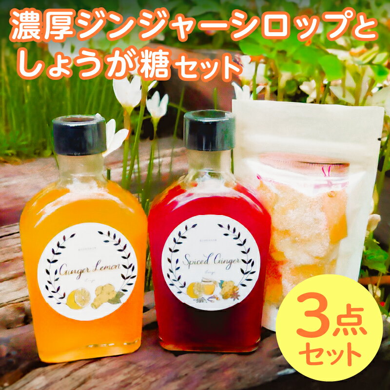 【ふるさと納税】（南房総市産しょうが使用）濃厚ジンジャーシロップとしょうが糖のセット 千葉県 南房総市 新生姜 レモン ハチミツ 無加水 濃厚 香り 爽やか ミルクティー ヨーグルト お湯割り 炭酸水割り お取り寄せ グルメ 送料無料