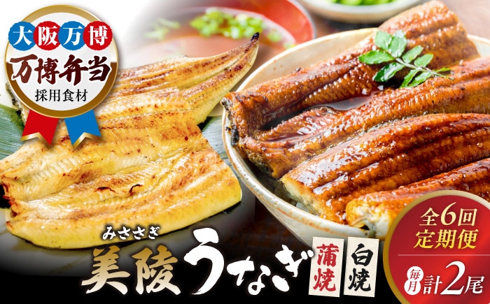 
                  【全6回定期便】鰻 鰻の蒲焼1尾×白焼1尾 紅白セット / 美陵鰻 鰻 うなぎ ウナギ 蒲焼 蒲焼き かば焼き かばやき 白焼き 白焼 しろやき しらやき 特大 肉厚 うな重 うな丼 タレ 山椒 国産 土用 丑の日 ギフト 大阪産 美陵鰻 関西風地焼き 高級 ふっくら 冷凍 定期 国産うなぎ 蒲焼き おすすめ 人気 / 大阪府藤井寺市/Giverichホールディングス株式会社 [BLAM010]
                