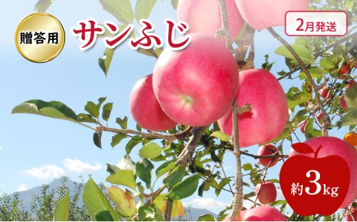 
                  [№5554-0237]りんご 【 2月発送 】 糖度13度～贈答用 サンふじ 約 3kg
                