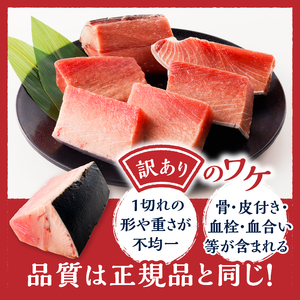 a10-1000202403　【2024年3月お届け】マグロ 中トロ 訳あり 刺身 ミナミマグロ 中トロ 切り落とし 約700g まぐろ 鮪 南まぐろ 南鮪