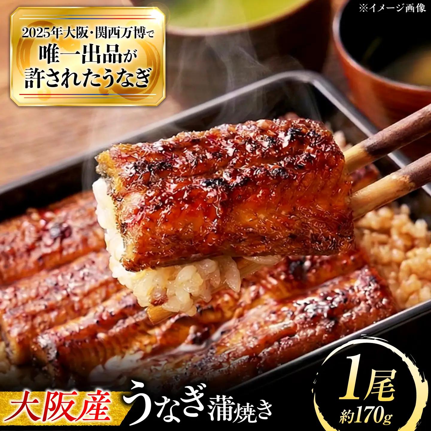 鰻 鰻の蒲焼 1尾 / 美陵鰻 鰻 うなぎ ウナギ 蒲焼 蒲焼き かば焼き かばやき 白焼き 白焼 しろやき しらやき 肉厚 うな重 うな丼 惣菜 おかず タレ 山椒 国産 スタミナ 土用 丑の日 土用の丑の日 贈答 ギフト / 大阪府藤井寺市/(株)れいわ水産[BLAL006]