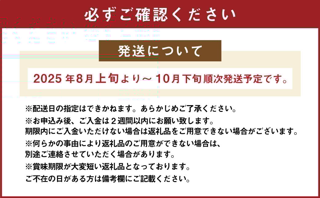 福岡県産無花果・とよみつひめ 約300g×4パック いちじく イチジク 無花果 果物 【2025年8月上旬～10月下旬発送予定】