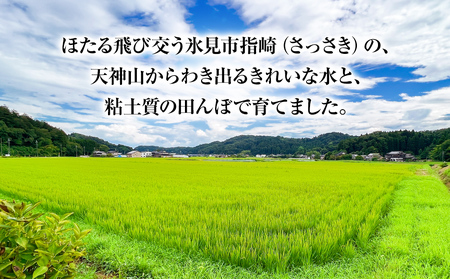 【特別栽培米】令和7年産 富山県産 "富富富" ５kg 無洗米 