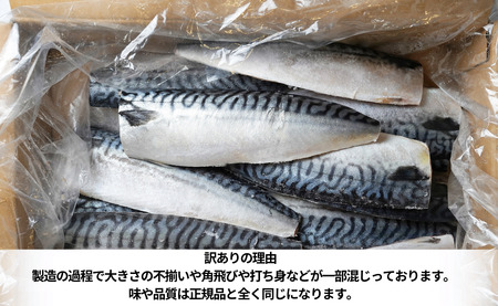 訳あり 塩さば フィレ 約3.6kg 冷凍 おかず 惣菜 サバ 鯖 つまみ 海鮮 魚 銚子 辻野 鯖 さば 魚 海鮮 大容量 銚子 訳あり 大人気サバ 訳あり 人気サバ 訳あり 海鮮サバ 訳あり 冷凍