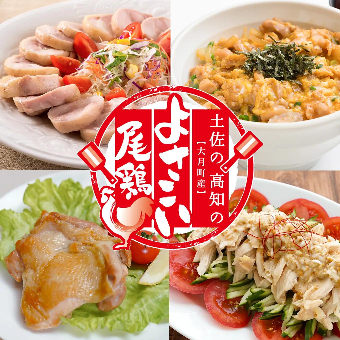 鶏肉 むね肉 1kg 定期便 6回 （1kg×6回） 鶏むね ムネ肉 若鶏 ヘルシー 冷凍 小分け