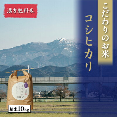 【ふるさと納税】北本農場こだわりのお米令和7年度産コシヒカリ精米10kg漢方肥料米　お届け：2025年9月22日～順次配送