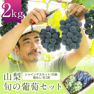 2026年先行受付 旬の葡萄セット2kg (シャインマスカット 巨峰 各2房 種なし)【配送不可地域：離島】