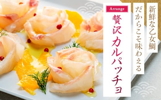 本場須崎のブランド鯛 ｢ 乙女鯛フィーレ ｣ アラ付き 2尾 セット 約2kg 冷蔵 刺身 お刺し身 タイ 鯛 高級魚 鮮魚 海鮮 魚介 煮付け アラ汁 高知県 須崎市 魚 マダイ 真鯛