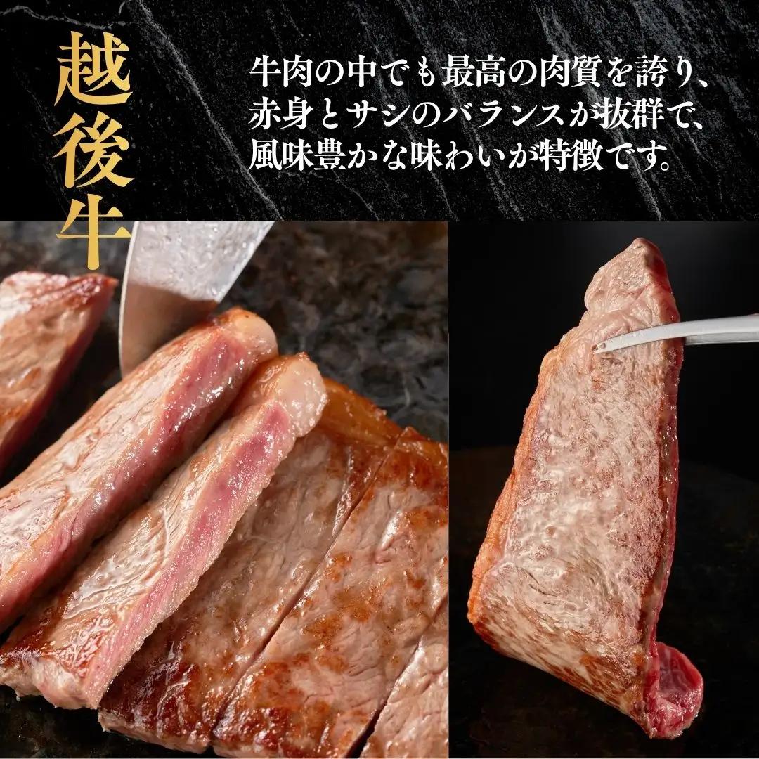 越後牛 ロースステーキ 400g(200グラム×2) 冷凍 三国 | 小千谷 新潟県産 ロースステーキ 越後牛