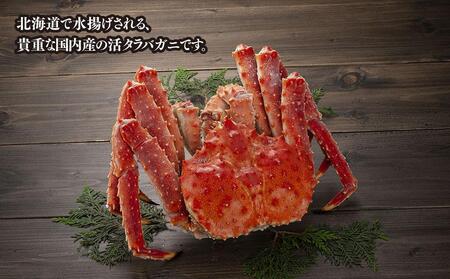 北海道産 タラバガニ 姿 1尾 2.5kg（冷凍）