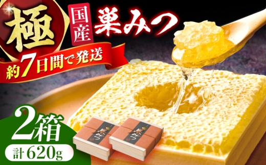 【年内発送！12/22まで！】極巣みつ 620g (310g×2個) 蜂蜜 はちみつ ハチミツ すみつ 巣蜜 コムハニー 極上 濃厚 ギフト スピード配送 広川町 / 株式会社九州蜂の子本舗 [AFAI008]