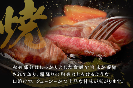 【産地直送】宮崎県産 宮崎牛 ロース ミニステーキ セット 4～5枚