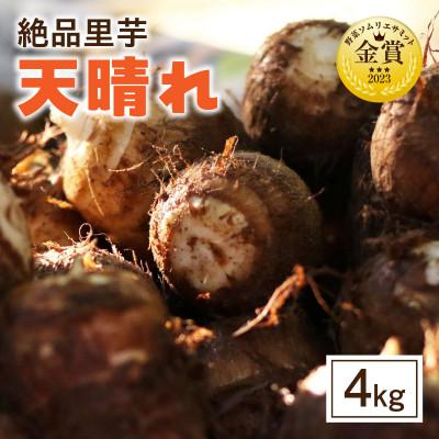 ふるさと納税 西尾市 絶品里芋　〜天晴れ〜　4kg・S067