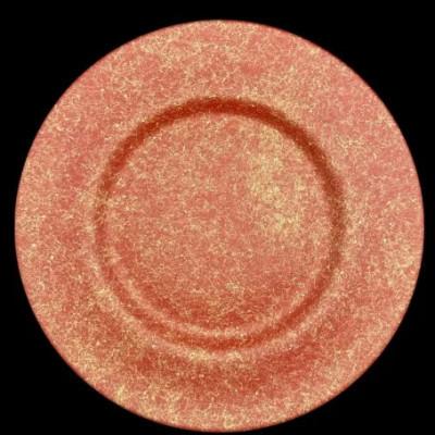 ふるさと納税 高野町 ディナープレート33　乱糸(マット仕上げ)本朱