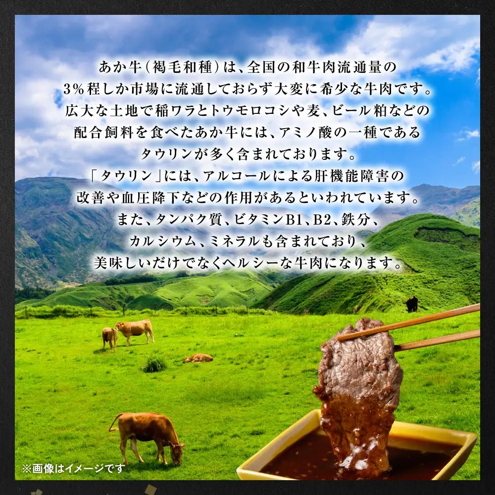 【GI認証】 くまもとあか牛 焼肉用 500g お肉 牛 焼肉 BBQ 赤身 バーベキュー 和牛 牛肉 和牛 褐毛和牛 国産 国産和牛 冷凍 