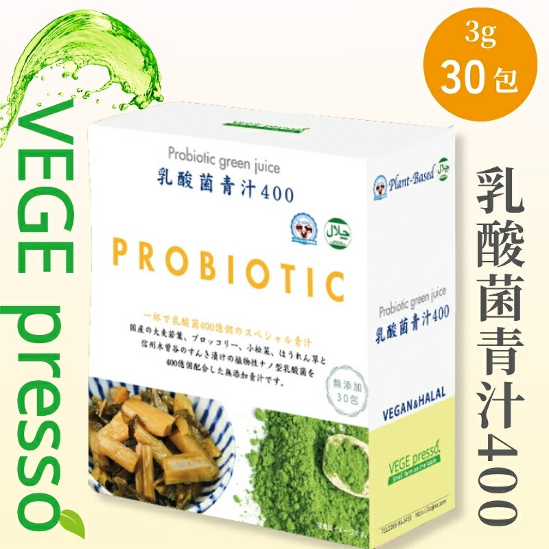 【ふるさと納税】【無添加青汁】乳酸菌青汁400（3g×30包） 無添加青汁 乳酸菌400億 デキストリンフリー青汁 デキストリン無添加青汁 粉末青汁 ヘルシー青汁 健康青汁 野菜青汁 植物性青汁 駒ヶ根市