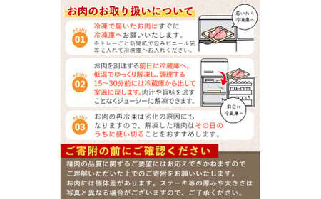＜2025年5月中に発送予定＞鹿児島県曽於市産 曽於ポーク切り落とし3.25kg(250g×13パック)セット 国産 豚肉 切り落とし【Rana】A408-05-v01