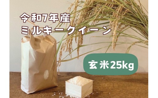 【令和7年産】栃木市岩舟町産ミルキークイーン25kg【玄米】　米　玄米　ミルキー　農家直送　産地直送