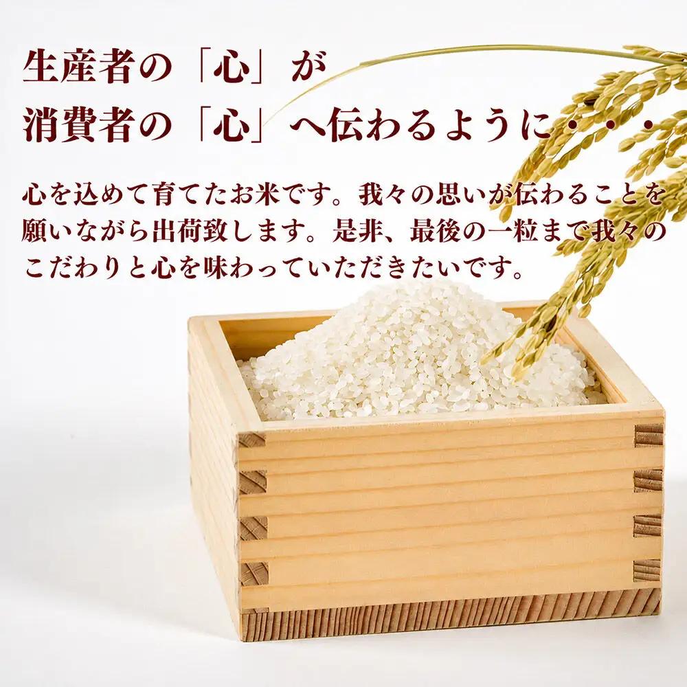 お米 【2026年10月以降順次発送 先行受付】 ≪令和8年産 新米受付≫ 《定期便2ヶ月》 冷めても美味しくもっちり甘い！ ゆうだい21 5kg×1袋 【白米】