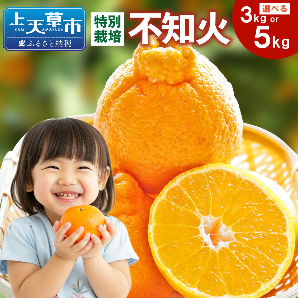 【ふるさと納税】【選べる容量】【先行受付】特別栽培不知火 3kg または 5kg サイズミックス みかん しらぬい 果物 フルーツ 国産 九州産 熊本県産 送料無料 【2026年3月上旬から4月上旬発送予定】
