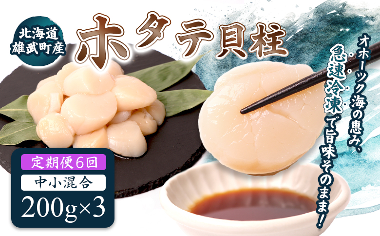 【定期便6回】　北海道雄武町産ほたて貝柱 中小混合 200g×3 (冷凍) 使い切りパック【07140】