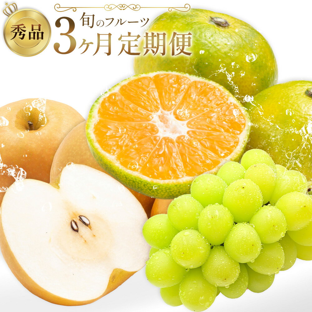 【ふるさと納税】旬の フルーツ 定期便 3ヶ月連続 秀品 選べる 内容量 日本フルーツ株式会社《8月上旬-10月末頃出荷》熊本県 荒尾市 シャインマスカット おまかせ 梨 極早生みかん 果物 フルーツ スイーツ デザート ギフト ご贈答