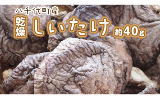 
八千代町産 乾燥 しいたけ 約40g 椎茸 シイタケ きのこ キノコ 乾燥 ふるさと納税 6000円 茨城県 八千代町 [CW004ya]
